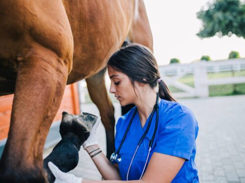 Depositphotos_209681936_S