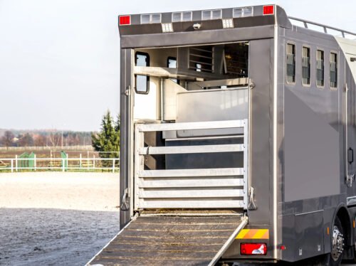 Depositphotos_326117874_S