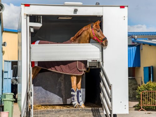 Depositphotos_352938870_S