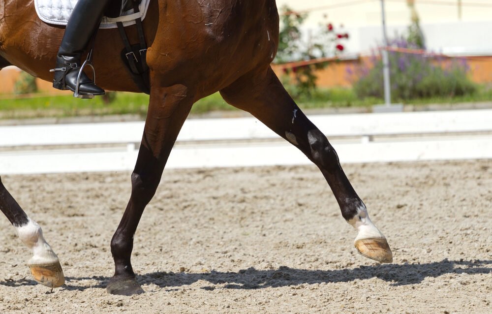 Depositphotos_49342229_S