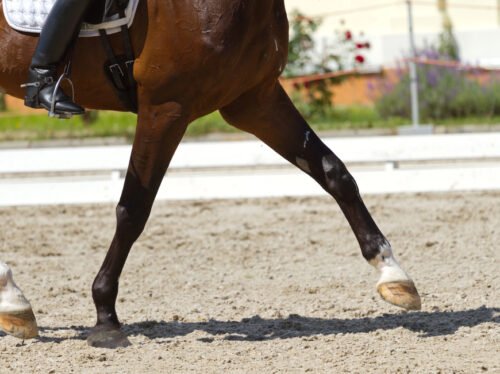 Depositphotos_49342229_S