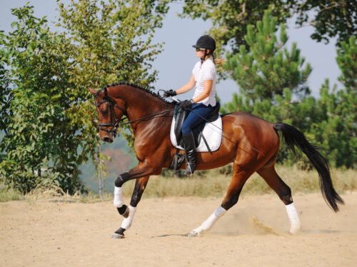 Depositphotos_60660957_S