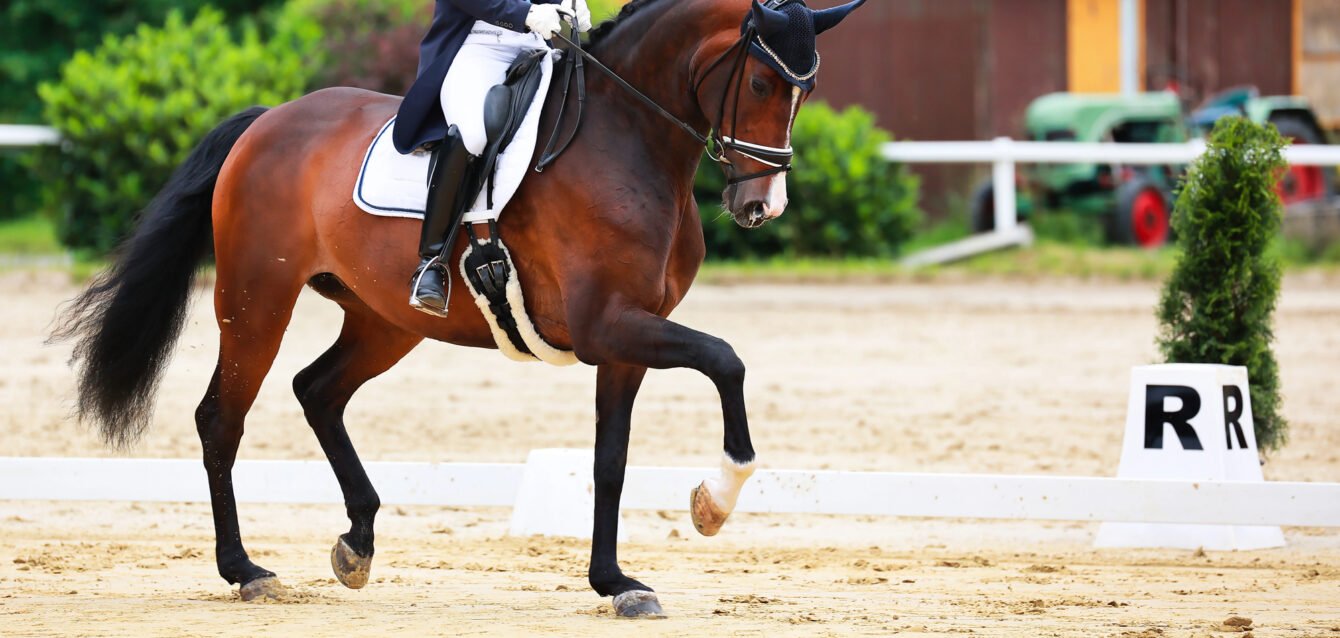 Depositphotos_700256886_L